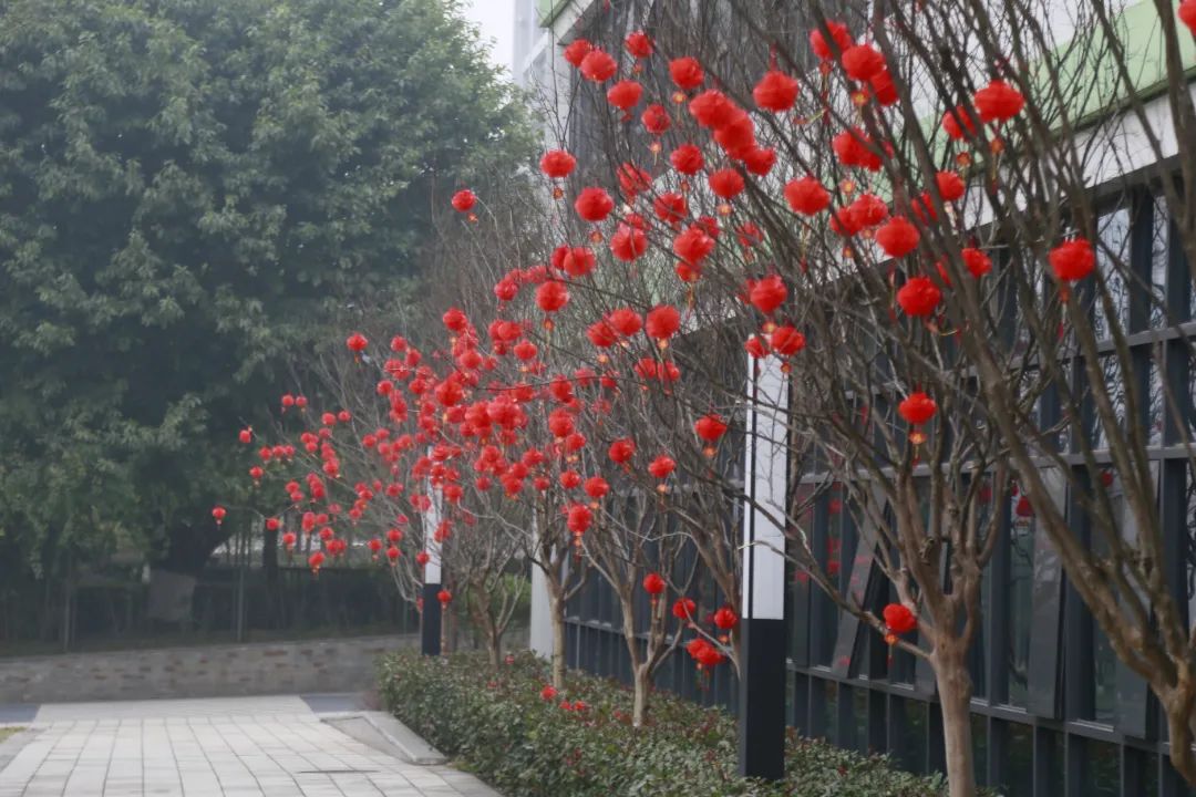 图片8.jpg